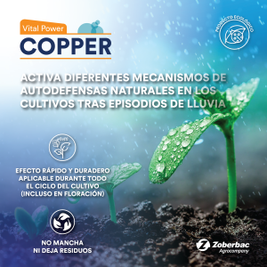 Vital Power Copper