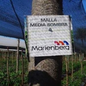 Malla Media Sombra con Protección UV (Marienberg)